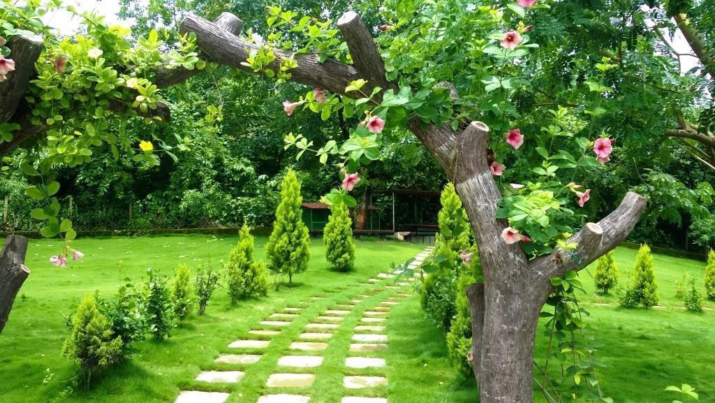 Sparsh Resort & Chalet Kalamb  外观 照片
